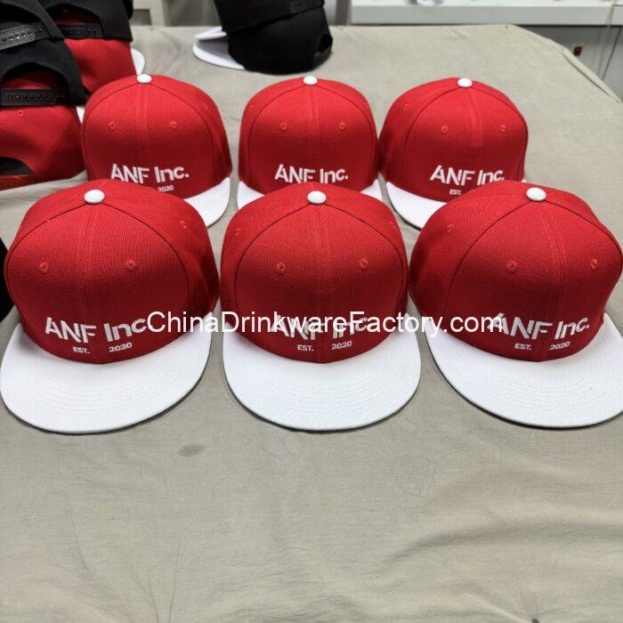 Copy of 20-12-2024_1734676928_impicturee3d15831b87ac97d6a6ff2496ff91a9b